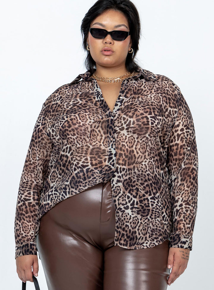 Hayden Shirt Leopard Curve